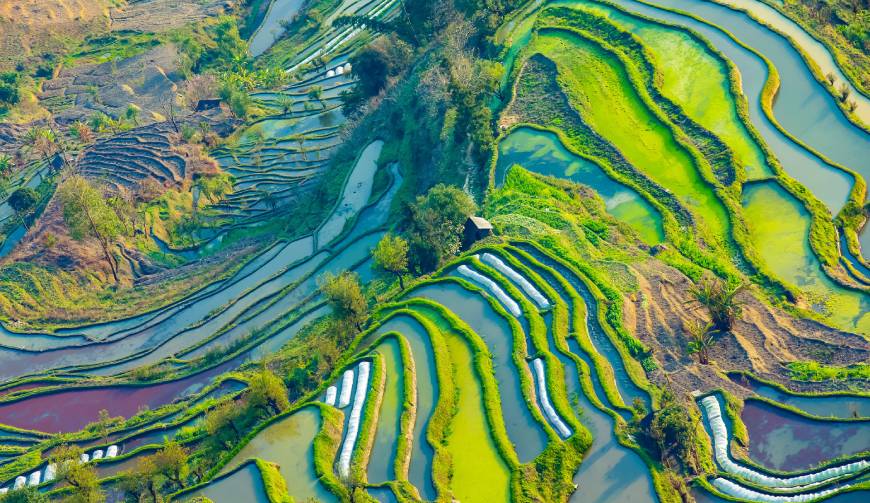 宝妈必备神器：南郑县产品视频拍摄轻松育儿好帮手
