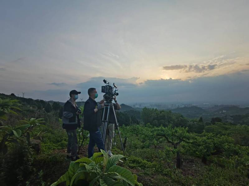 创意破圈！南郑县电商产品宣传视频用故事化叙事引爆流量