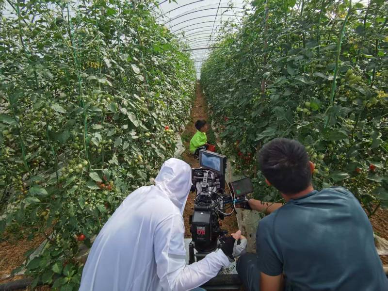 南郑县产品宣传视频拍摄公司进阶指南，助力品牌抢占传播高地